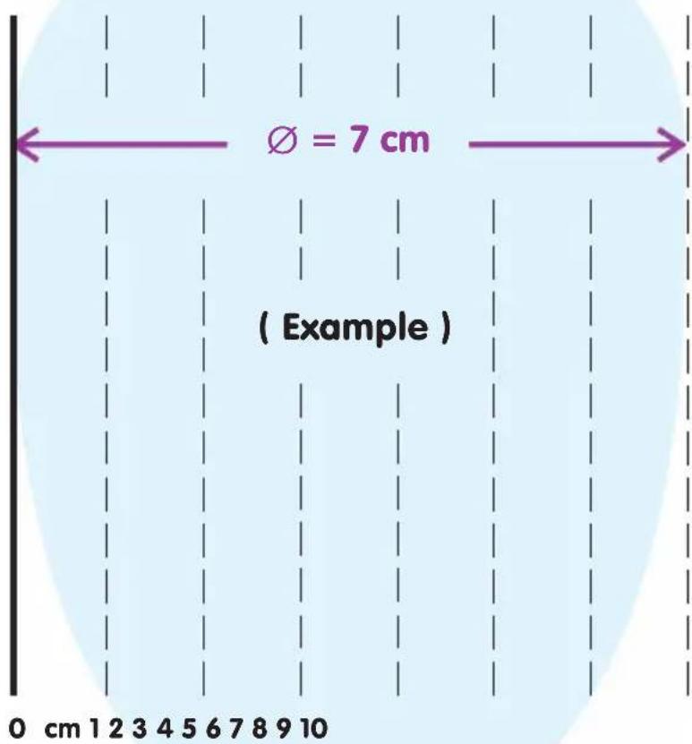 Epi-no Delphine Plus - Measurement Template - 2