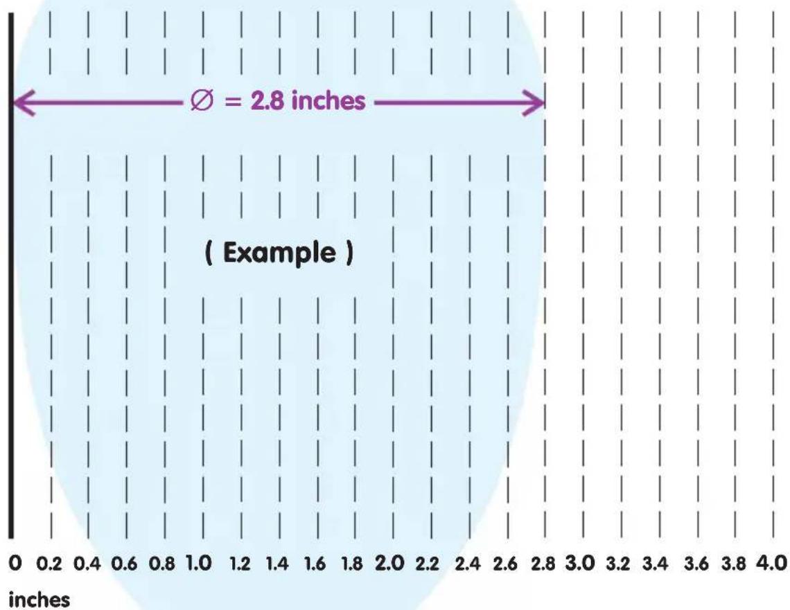 Epi-no Delphine Plus - Measurement Template - 4