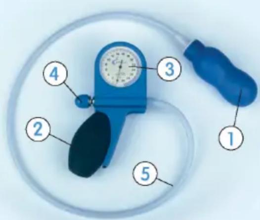 Epi-no Delphine Plus - 2