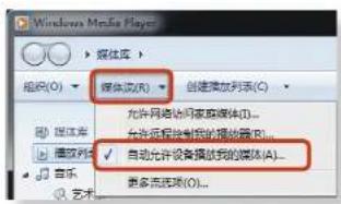 SAMSUNG NPX125I - 使用计算机在电视机上播放内容 - 2