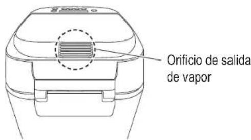 PANASONIC SDZP2000 - Unidad principal y Accesorios - 2