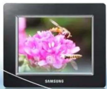 SAMSUNG SPF86P - Charactéristiques - 2