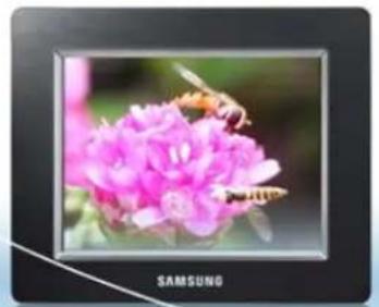 SAMSUNG SPF86P - Digital Photo Frame SPF-85P, SPF-86P - 2