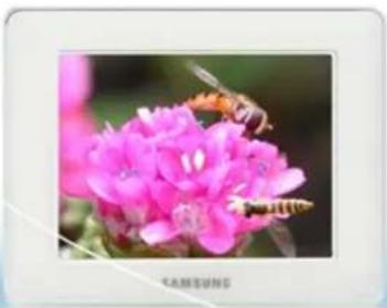 SAMSUNG SPF83V - Fichiers pris en charge - 3