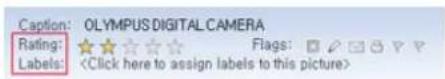 SAMSUNG SPF83V - Comment configurer les options Rating et Tags (VISTA:Tags, XP:Labels) pour les photos sur votre PC - 4