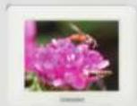 SAMSUNG SPF83V - × Limitations et recommandations - 1