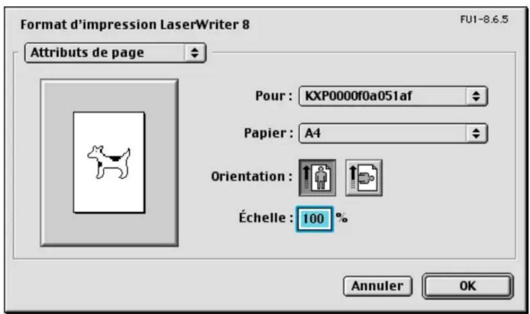 PANASONIC KXP7500 - ■ Attributes de page - 1