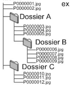 PANASONIC SCBTT755 - Structures des dossiers photos (JPEG) - 1