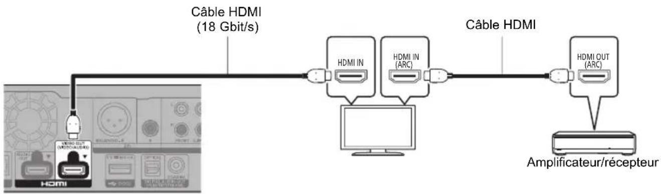 PANASONIC DPUB9004 - Raccordement d'un amplificateur à un téléviseur compatible 4K - 1