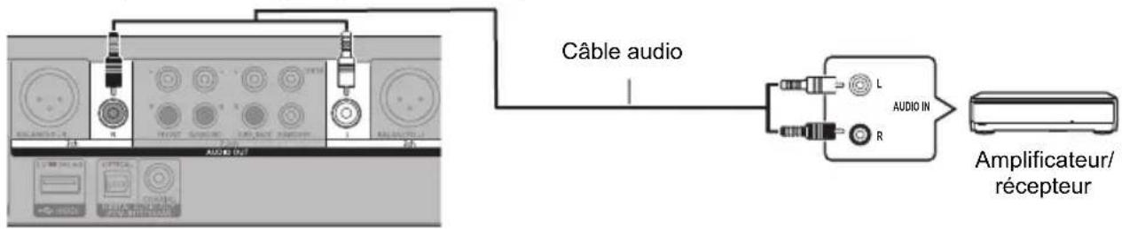 PANASONIC DPUB9004 - Prises AUDIO OUT - 1