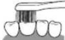 PANASONIC EWDL75 - Surface avant et surface de morsure des dents - 2