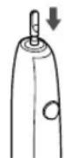 PANASONIC EWDL75 - Place the brush head firmly onto the toothbrush shaft. - 2