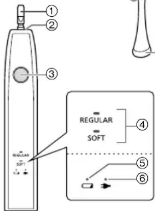 PANASONIC EWDL75 - Identificarea pärtilor componente - 4