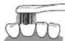 PANASONIC EWDL75 - Superficie anteriore e superficie masticatoria dei denti - 2