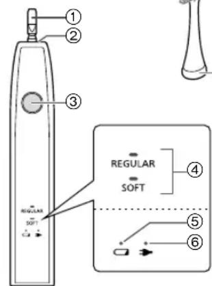 PANASONIC EWDL75 - Identificazione parti - 1
