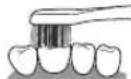 PANASONIC EWDL75 - Front surface and the biting surface of teeth - 2