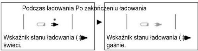 PANASONIC EWDL75 - Wskazywanie podczas ludowania - 1