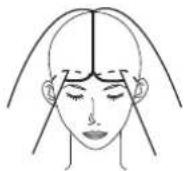 PANASONIC EHHW51 - How to bundle your hair - 1