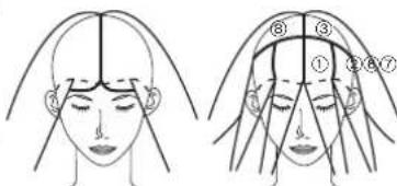 PANASONIC EHHW51 - Per raccogliere i capelli in ciocche - 1