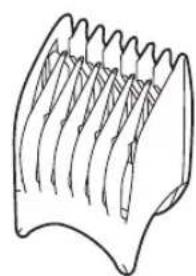 PANASONIC ER2171 - 2