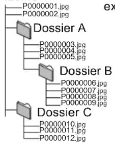 PANASONIC SCBTT350 - Structures des dossiers photos (JPEG) - 1
