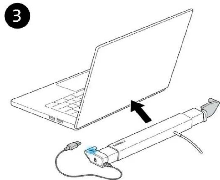 KENSINGTON K66636M - Választható - 19