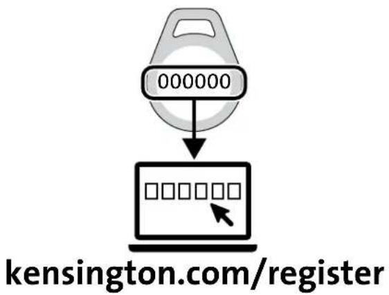 KENSINGTON K66636M - POLSKI - 2