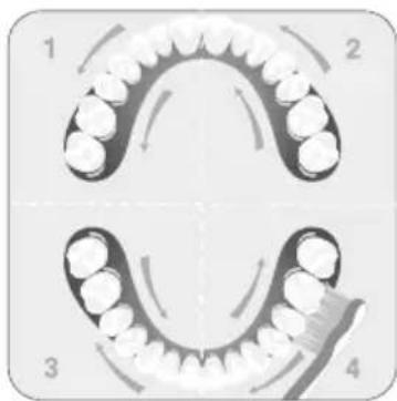 Edel White Sonic Generation - Utilisation desonic generation® - 3