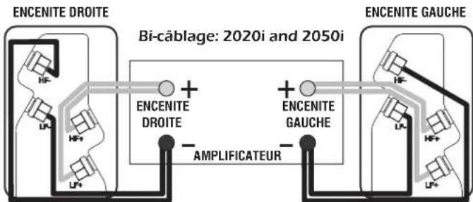 Q-ACOUSTICS 2020i - Bi-cablage - 1