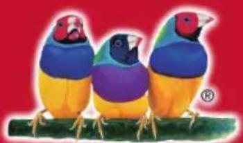 VIEWSONIC VX2458CMHD - πωλήσεις εκτός των HΛΑ και του Kαναδά: - 1