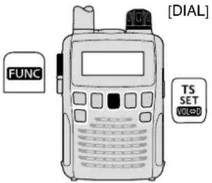 ICOM ICR6 - Accesso e funzionamento della modalità impostazione - 1