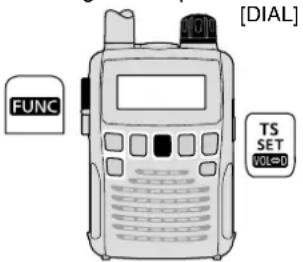 ICOM ICR6 - Aufrufen und Bedienung des Einstellmodus - 1
