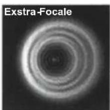 CELESTRON NexStar 4SE - Fase I (valutazione della scollimazione) - 1