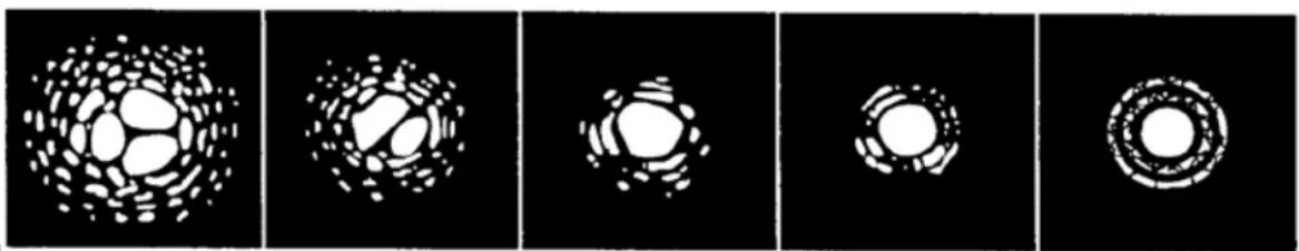 CELESTRON NexStar 4SE - "Seeing" - 1