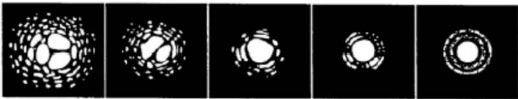 CELESTRON NexStar 4SE - II Seeing (turbolenza) - 1