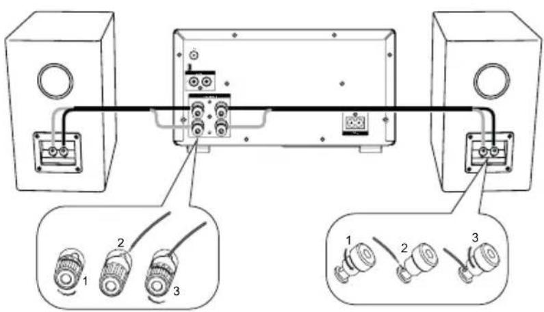 Krüger&Matz KM 1598 - Connexion des enceintes - 1