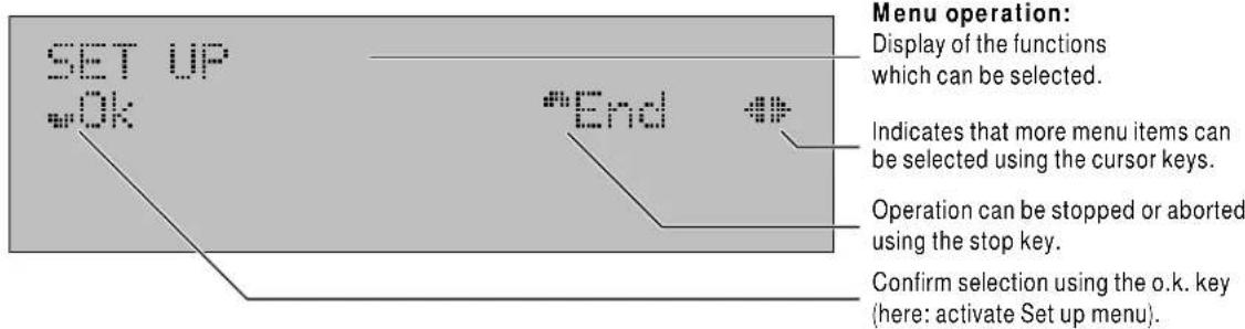 Hagenuk EuroPhone free - Menu control / The Display - 1