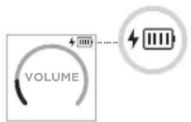 BOSE S1 Pro - Double mono filaire - 4