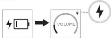 BOSE S1 Pro - Usar los puertos dearga - 2