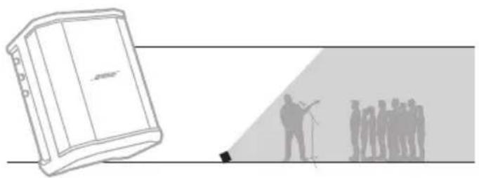 BOSE S1 Pro - Achterover gekanteld - 1