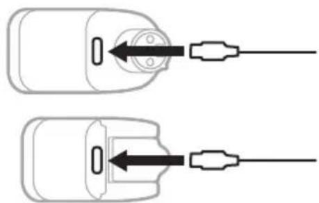 BOSE S1 Pro - Mediate un caricabateria a parete o un computer - 1