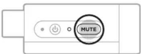 BOSE S1 Pro - DRAHTLOSSENDER STUMMSCHALTEN/ STUMMSCHALTUNG AUFHEBEN - 1