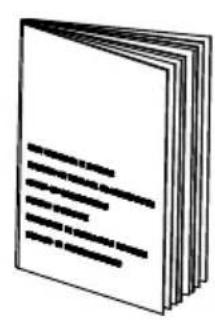 ROBLIN Alpha Sunzi - REMARKS - 12