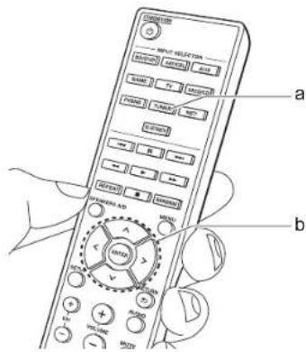 PIONEER SXN30AE - Borrar una emisora de radio preajustada - 1