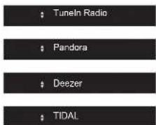 PIONEER SXN30AE - Radio por Internet - 3