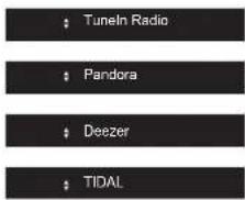 PIONEER SXN30AE - Internet Radio - 3