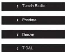 PIONEER SXN30AE - Radio Internet - 3