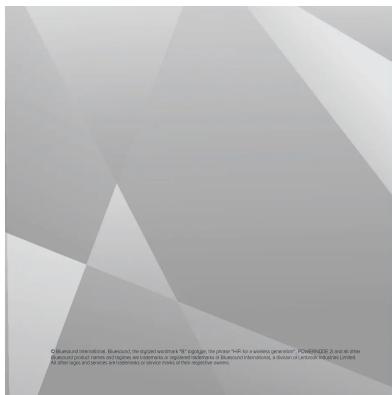 Bluesound Powernode 2i - 1