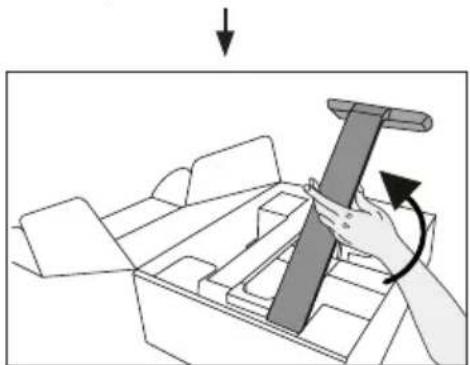 BEURER BF 1000 - Positioning the scale - 6