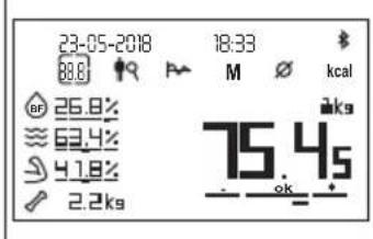 BEURER BF 1000 - Vista de Conjunto - 1